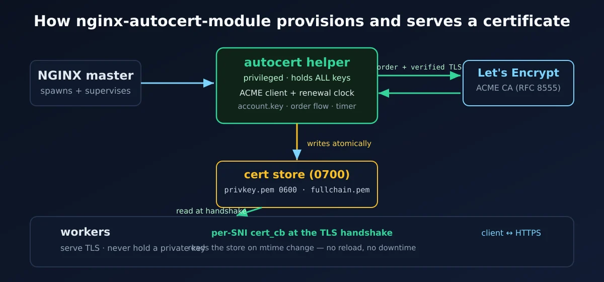nginx-autocert-module architecture: the ACME order flow runs on one NGINX worker that holds the private keys, while all workers serve certificates per-SNI at the TLS handshake