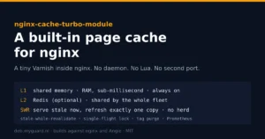 nginx cache-turbo built-in page cache module: L1 shared memory, optional L2 Redis, and stale-while-revalidate