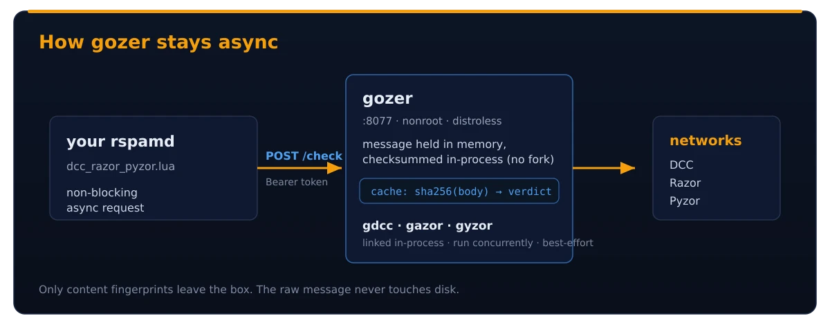 Architecture diagram: the rspamd dcc_razor_pyzor.lua plugin sends one non-blocking POST /check to the gozer backend, which queries DCC, Razor and Pyzor in-process via gdcc, gazor and gyzor