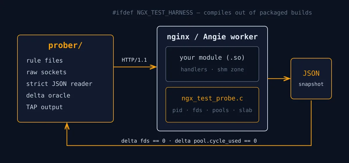 nginx-test-harness architecture: prober sends HTTP to nginx worker with ngx_test_probe, JSON snapshot feeds delta oracle